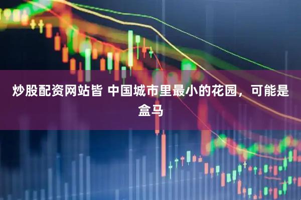 炒股配资网站皆 中国城市里最小的花园，可能是盒马